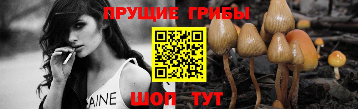 Ивантеевка  Псилоцибиновые грибы Magic Shrooms  где купить наркоту  Вход с VPN 
